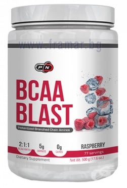   BCAA  500  