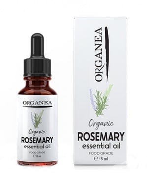 ������� �������� ����� �� �������� 15 ��