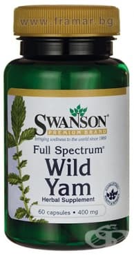 ����� ��������