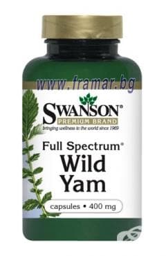 ����� ��������