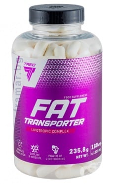      FAT TRANSPORTER  * 180