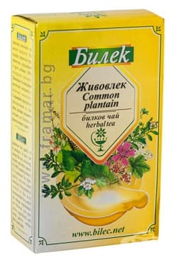 ЖИВОВЛЕК ЕДРОЛИСТЕН ЛИСТА