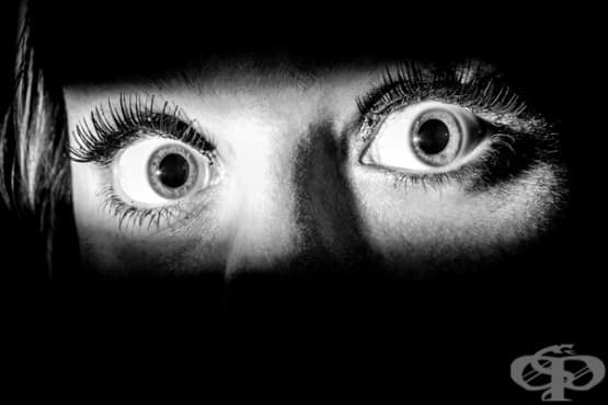 7 неща, които трябва да знаем за страха - изображение
