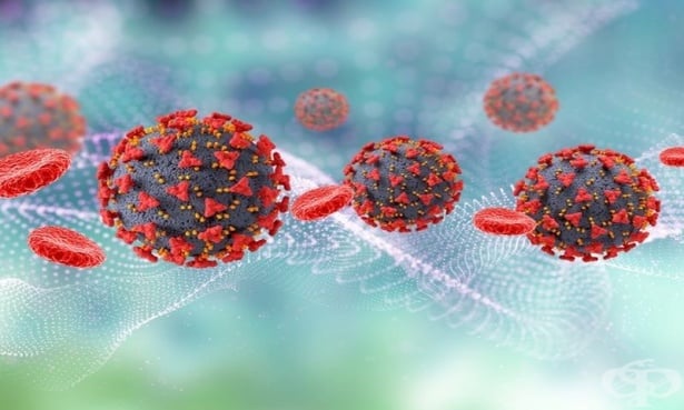 SARS-CoV-2 и Респираторно синцитиалния вирус - изображение