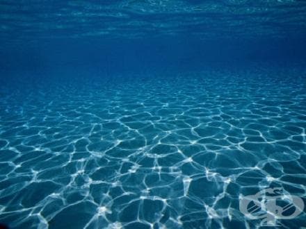 Ползите от морската вода в грижата за носа? - изображение