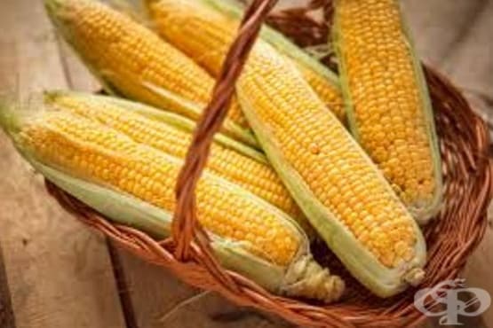 Полезни съвети за приготвяне на вкусна царевица - част 2 - изображение