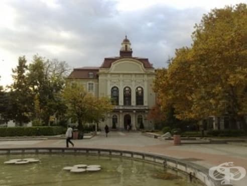 През следващите две години в Пловдив ще предложат седем нови социални услуги - изображение