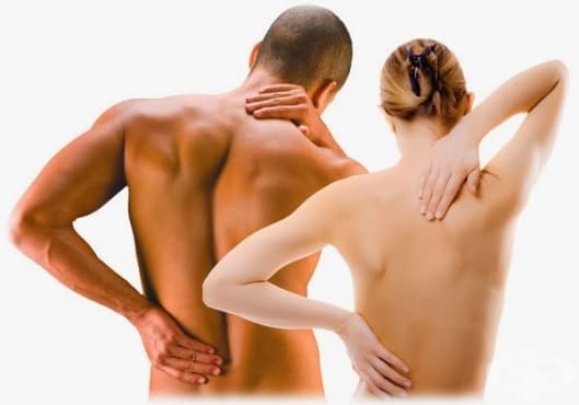 Лесни упражнения при болки в гърба и леки гръбначни изкривявания - изображение