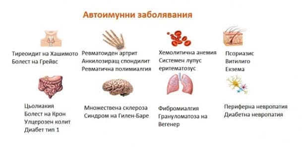 Автоимунни заболявания - изображение