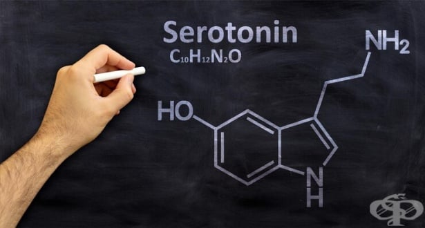 Изследване на серотонин - изображение
