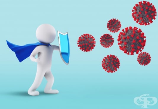 Лечебни методи за подсилване на имунната система - изображение