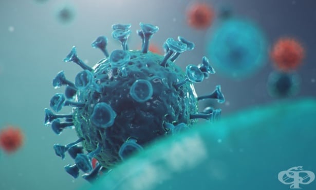Лечение на вирусни инфекции - изображение