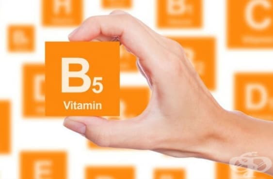 Полезни ефекти на витамин В5 (пантотенова киселина) - изображение