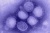 A(H1N1) - ������� �� ������� ����