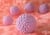 Човешки папилома вирус (HPV)