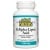 Изображение към продукта АЛФА ЛИПОЕВА КИСЕЛИНА капсули 100 мг * 60 НАТУРАЛ ФАКТОРС