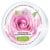 ����������� ��� �������� ���������� ���� �� ���� � ���� ROSES � ������ ���� 100 �� NATURE OF AGIVA