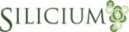 SILICIUM