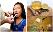 ����� � ������� �������� �� ������� �� ��������