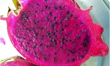 �������� ����