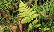 ���������� ����� ������