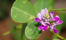 ��������� ���������