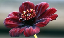 ��������� ������