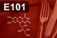 E101 
