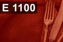 E1100 �������