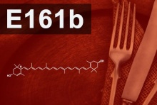 E161(b) 