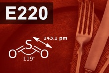 E220 ����� �������