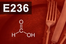 E236  