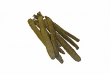 ����� ����� - ������� �������� � �����