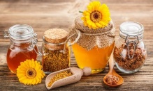 �����������, ������� �������� ������ �� ��������� ���� 1960 ������