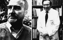 ������, �������� ����������� � ������ �� �����������a ���� ������� �������� �� 20 ���