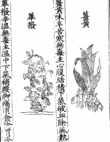   ,          20-  