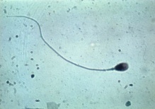          19- 