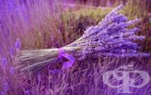 �������� �� ����������� � ��������� �� ������������ �����