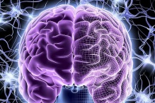 ������� ��� �������������