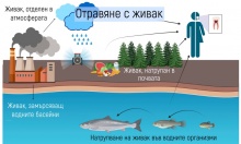 ������ �������� (�������� � �����)