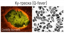 A78 ��-������