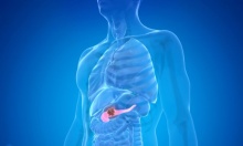 ��������-��������� ������� �������������� �� ������ � ��� �� ���������