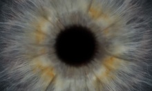 �������� Chlamydia pneumoniae � ����� � ���� ��������� �� ���������