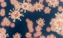 ���������� �� ������������� ��� ����������� �������� ������������ �� ��� �� �� ���������