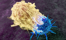 ������������ ���� �� ������� ������� ������