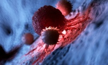 �������� ������� ���������� ������ ������ �� �� ����� � ����