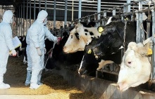 ������������ ��� ������ �� ���� ����� � �������