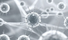 � ��������� � ����������� ������� ������ �� ������ ����