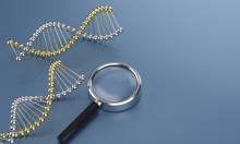 ������� ��������� ����������, ������ �� �������������� �������� � ���������� �������