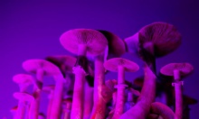 ����� ��������� ��������� �� �������� �� ���������� �� ���������� ����